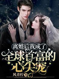 离婚后我成了全球首富的心尖宠免费版