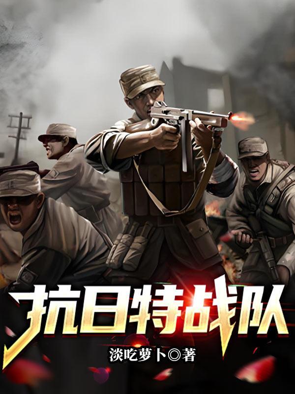 抗日特战队电视大全