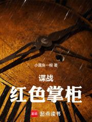 谍战红色掌柜无错版