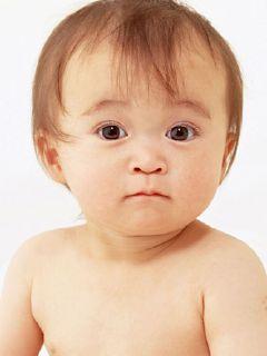 千树花语为谁痴