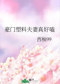 豪门塑料夫妇无防盗