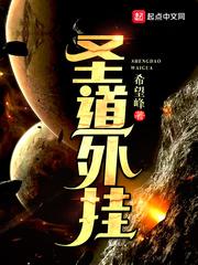 圣道网络科技有限公司