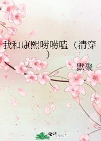 与康熙互换后清穿番外