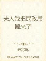 我们领证吧免费阅读