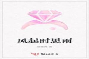 风起时想你免费阅读无防盗