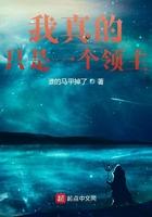 我真是只是一个领主