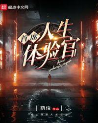 首席人生体验官在线阅读