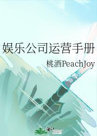 娱乐公司运营手册[经营