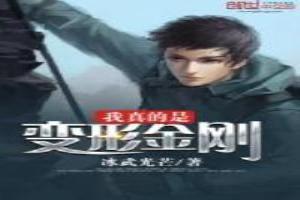 真变形金刚视频