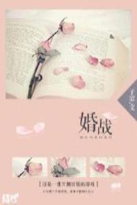 婚战电视剧免费全集在线观看