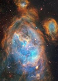 白桃乌龙蜜功效