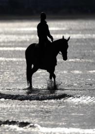 劫婚短剧全集在线观看