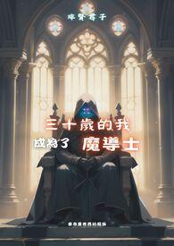 30岁成为魔法师漫画26话