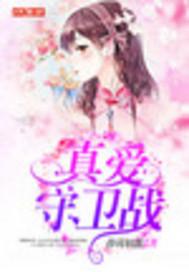 真爱守卫战免费阅读