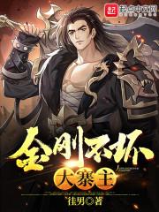 金刚不坏大寨主作者