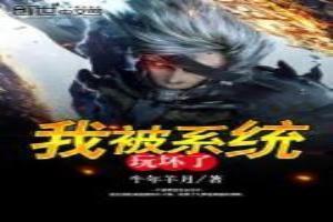 我把系统玩坏了