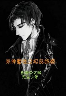 杀神奶爸归来无极