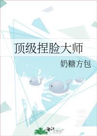 顶级捏脸大师TXT