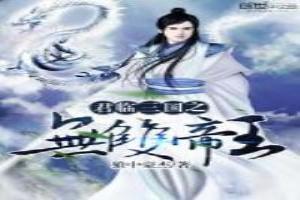 三国君临天下飞卢