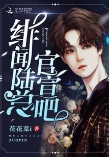 绯闻总统全文免费阅读