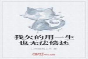 欠我的你一辈子都还不了