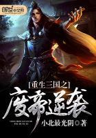 重生之三国弃子