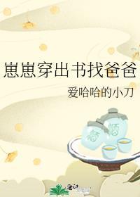 崽崽穿出书找爸爸百度