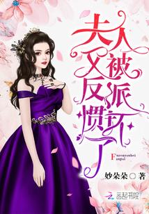 夫人又被反派惯坏了大概内容