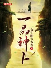 一品神卜李长风