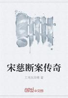 宋慈断案传奇 聚合中文网