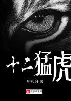 十二猛虎十三鹰