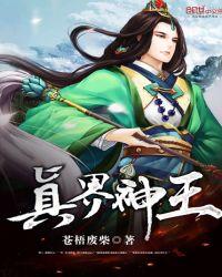 真界神王亿起网