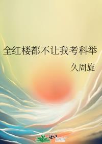 全红楼都不让我考科举 久周旋