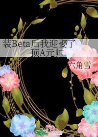 装Beta后我迎娶了顶A元帅_六角雪TXT