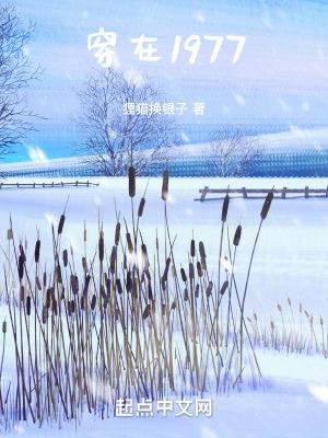 穿在1977笔趣阁免费入口