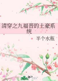 清穿之九福晋的土豪系统 半个水瓶