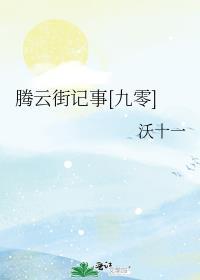 腾云街记事九零小包子