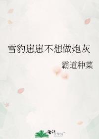 穿越雪豹幼崽后