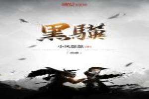 黑骥的卢科技有限公司