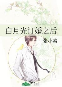 白月光知乎