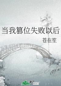 当我篡位失败以后by苍在笙受叫什么