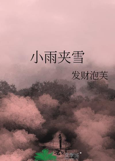 小雨夹雪天气