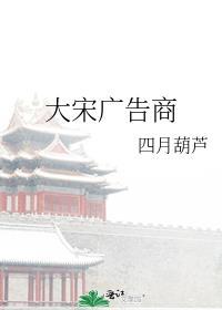 大宋广告商百度资源