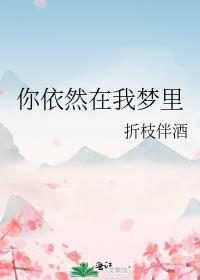 你依然在我梦里晋江