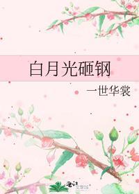 白月光砸钢TXT最新章节列表