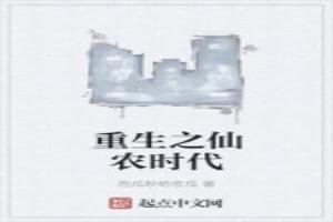 重生乡村仙农