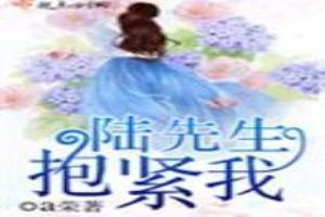 陆先生抱紧我txt