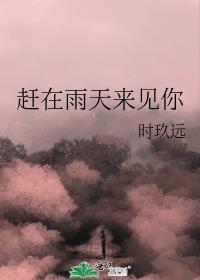 赶在雨天来见你大结局