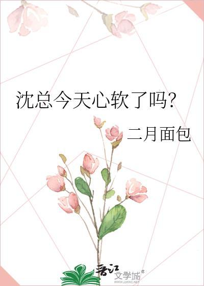 沈总今天心软了吗番外