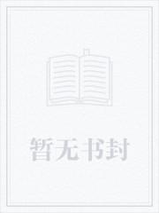 踏路寻星公司